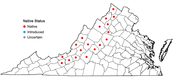 Locations ofScutellaria ovata Hill ssp. rugosa (Wood) Epling in Virginia