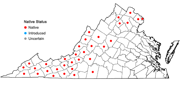 Locations ofScutellaria saxatilis Riddell in Virginia
