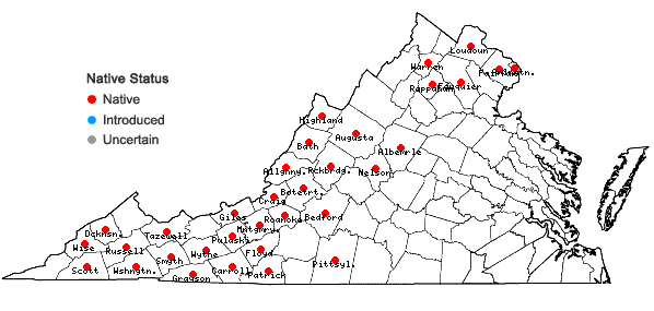 Locations ofScutellaria saxatilis Riddell in Virginia