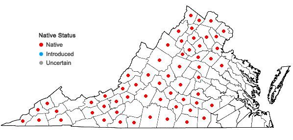 Locations ofScutellaria serrata Andr. in Virginia