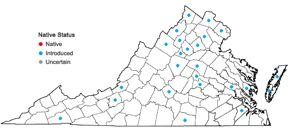 Locations ofSecale cereale L. in Virginia