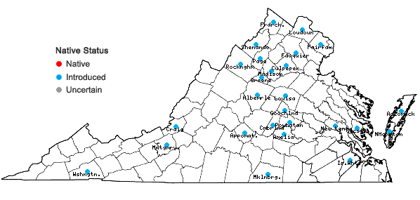 Locations ofSecale cereale L. in Virginia