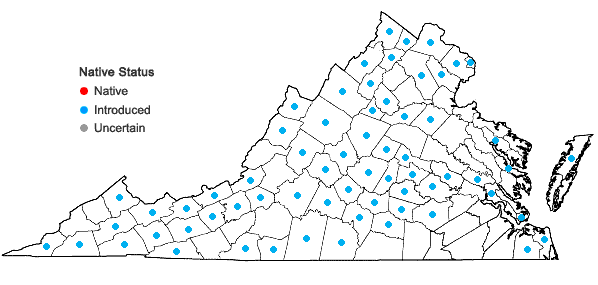 Locations ofSecurigera varia (L.) Lassen in Virginia