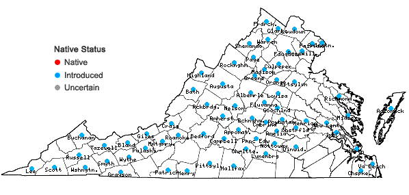 Locations ofSecurigera varia (L.) Lassen in Virginia