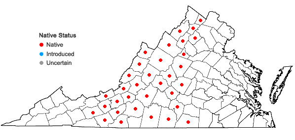 Locations ofSedum glaucophyllum  Clausen in Virginia