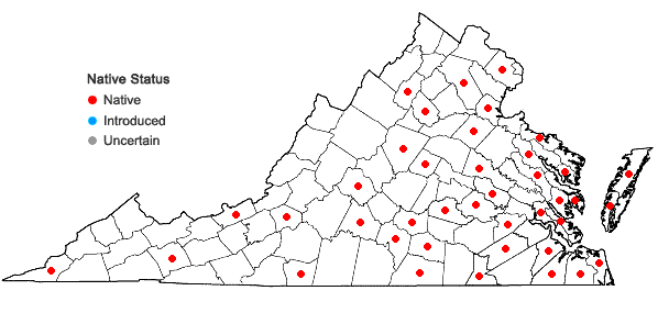 Locations ofSematophyllum adnatum (Michx.) E. Britton in Virginia
