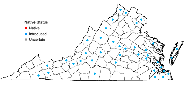Locations ofSenecio vulgaris L. in Virginia