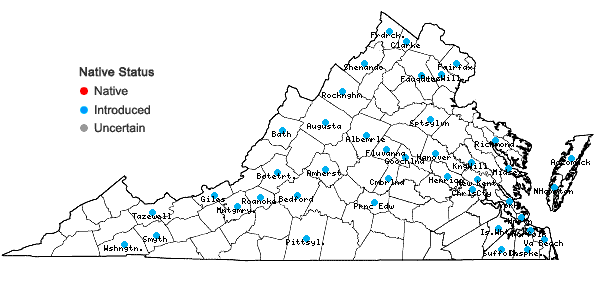 Locations ofSenecio vulgaris L. in Virginia