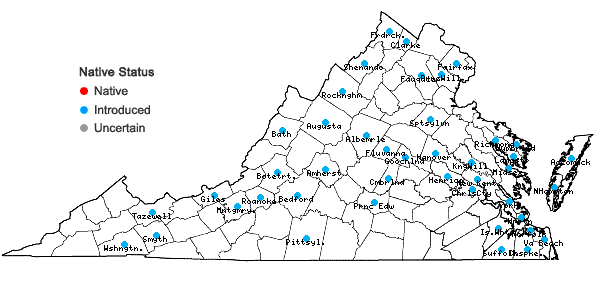 Locations ofSenecio vulgaris L. in Virginia