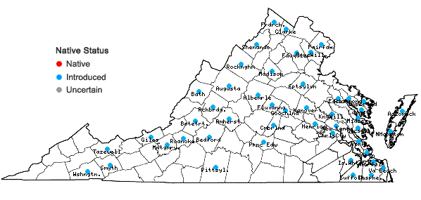 Locations ofSenecio vulgaris L. in Virginia