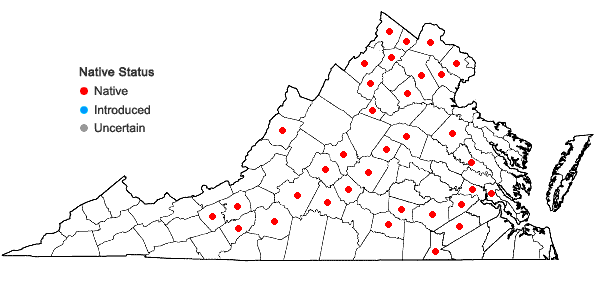 Locations ofSenega ambigua (Nutt.) J.F.B. Pastore & J.R. Abbott in Virginia