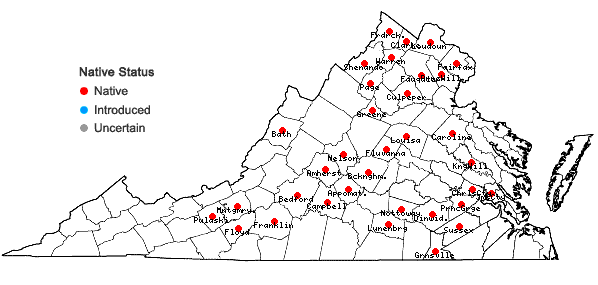 Locations ofSenega ambigua (Nutt.) J.F.B. Pastore & J.R. Abbott in Virginia