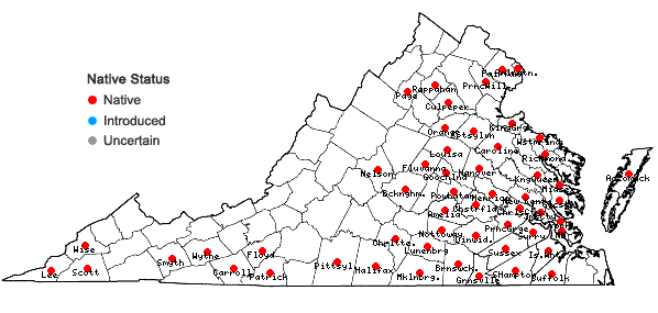 Locations ofSenega curtissii (A. Gray) J.F.B. Pastore & J.R. Abbott in Virginia