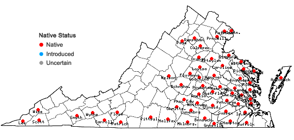 Locations ofSenega curtissii (A. Gray) J.F.B. Pastore & J.R. Abbott in Virginia
