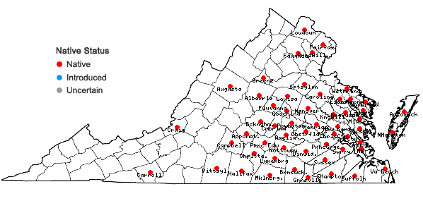 Locations ofSenega incarnata (L.) J.F.B. Pastore & J.R. Abbott in Virginia
