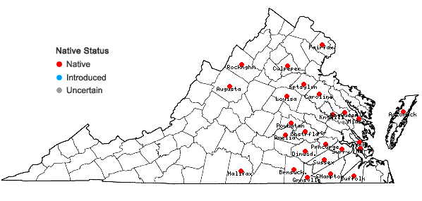 Locations ofSenega nuttallii (Torr. & A. Gray) J.F.B. Pastore & J.R. Abbott in Virginia