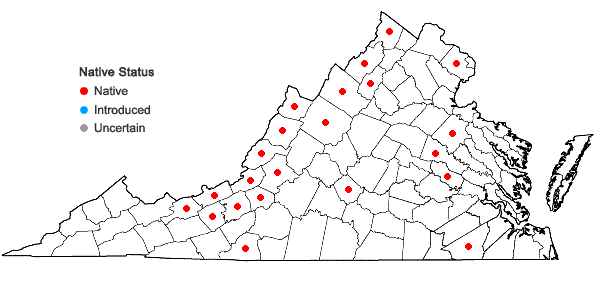 Locations ofSenega polygama (Walt.) J.F.B. Pastore & J.R. Abbott in Virginia