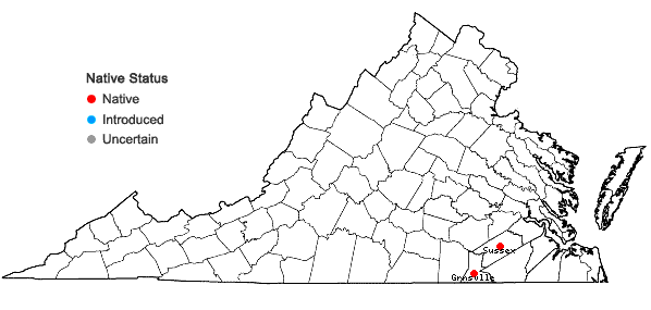 Locations ofSenega ramosa (Ell.) J.F.B. Pastore & J.R. Abbott in Virginia