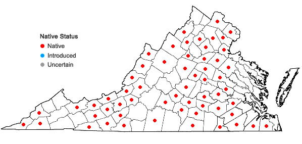 Locations ofSenega sanguinea (L.) J.F.B. Pastore & J.R. Abbott in Virginia