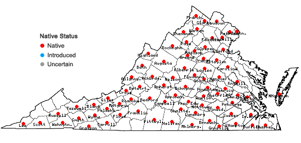 Locations ofSenega verticillata (L.) J.F.B. Pastore & J.R. Abbott in Virginia