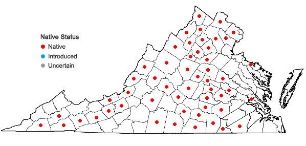 Locations ofSenna hebecarpa (Fernald) Irwin & Barneby in Virginia