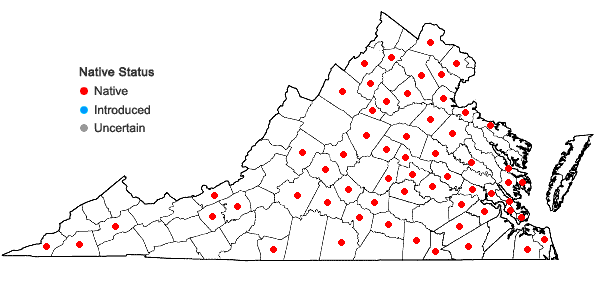 Locations ofSenna marilandica (L.) Link in Virginia