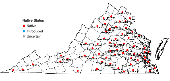 Locations ofSenna marilandica (L.) Link in Virginia