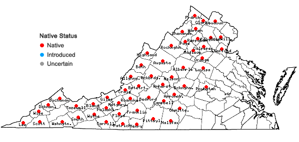 Locations ofSericocarpus caespitosus Nesom in Virginia