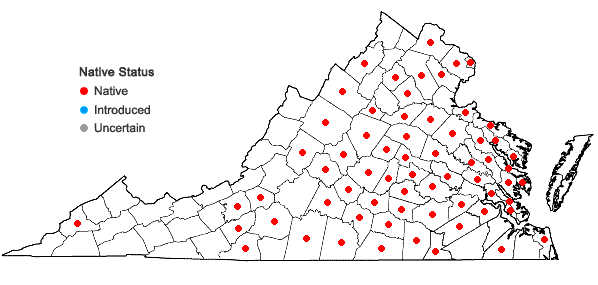 Locations ofSericocarpus linifolius (L.) B.S.P. in Virginia