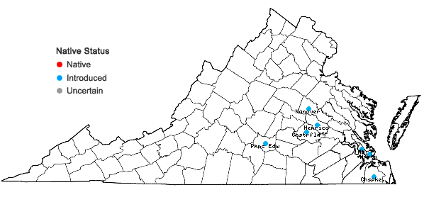 Locations ofSesbania herbacea (P. Miller) McVaugh in Virginia