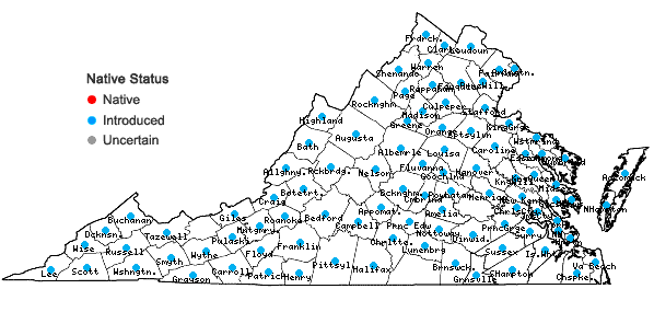 Locations ofSetaria faberi Herrm. in Virginia