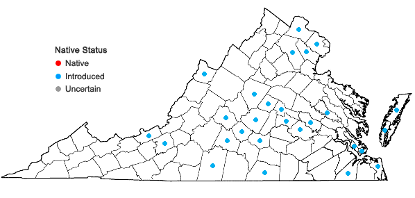 Locations ofSetaria italica (L.) Beauv. in Virginia