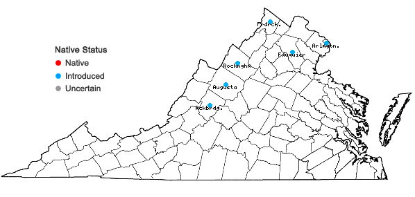 Locations ofSetaria verticillata (L.) Beauv. in Virginia