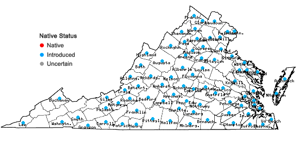 Locations ofSetaria viridis (L.) Beauv. var. viridis in Virginia