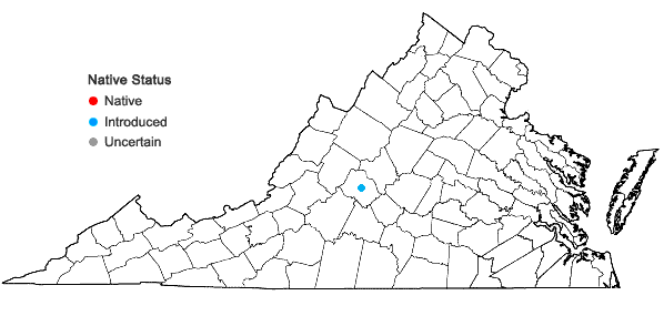 Locations ofShortia galacifolia Torrey & A. Gray var. galacifolia in Virginia