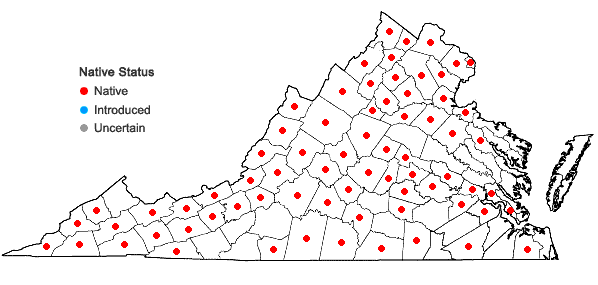 Locations ofSicyos angulatus L. in Virginia