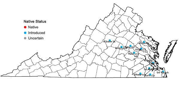 Locations ofSida rhombifolia L. var. rhombifolia in Virginia