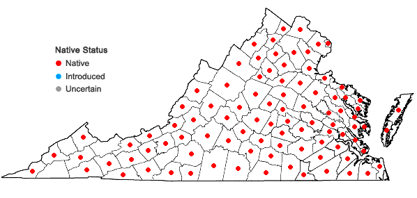 Locations ofSilene antirrhina L. in Virginia