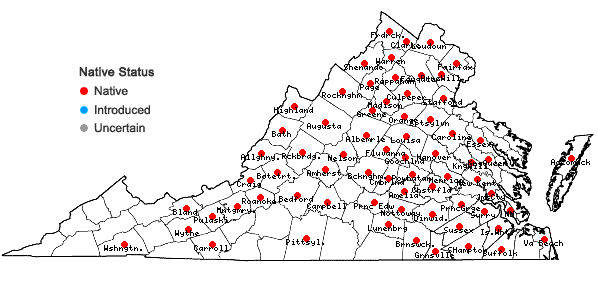 Locations ofSilene caroliniana Walt. var. pensylvanica (Michx.) Fernald in Virginia