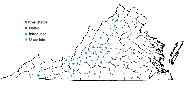 Locations ofSilene dichotoma Ehrh. ssp. dichotoma in Virginia