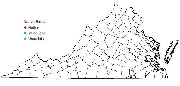 Locations ofSilene gallica L. in Virginia