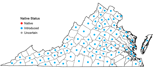 Locations ofSilene latifolia Poir. in Virginia
