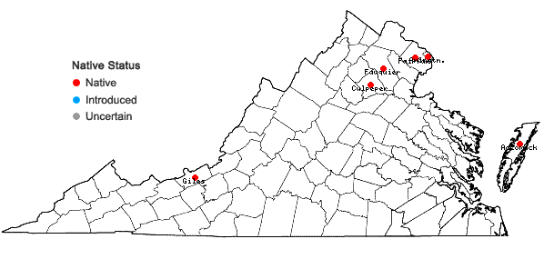 Locations ofSilene nivea (Nutt.) Muhl.  ex Otth in Virginia