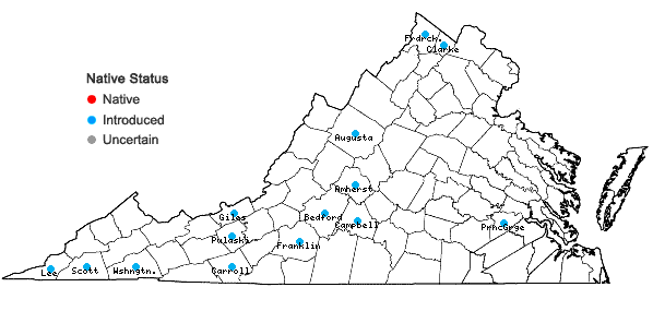 Locations ofSilene noctiflora L. in Virginia