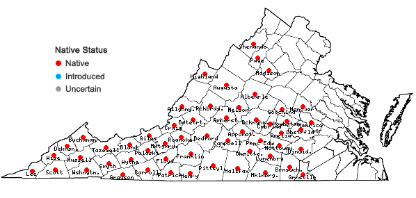 Locations ofSilene virginica L. in Virginia