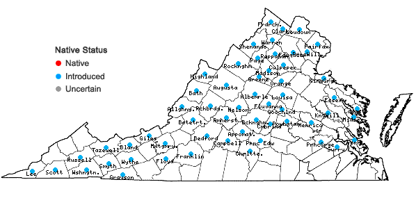 Locations ofSilene vulgaris (Moench) Garcke in Virginia