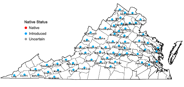 Locations ofSilene vulgaris (Moench) Garcke in Virginia
