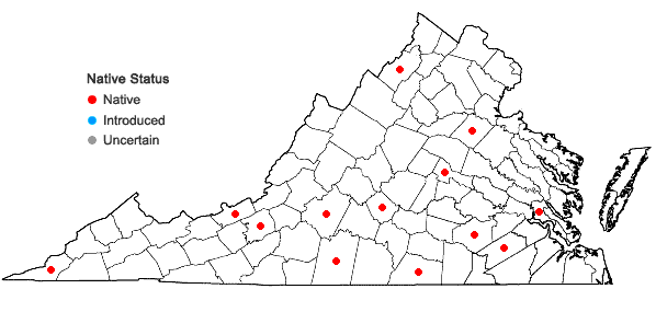 Locations ofSilphium asteriscus L. var. asteriscus in Virginia