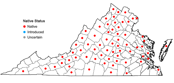 Locations ofSilphium asteriscus L. var. trifoliatum (L.) Clevinger in Virginia