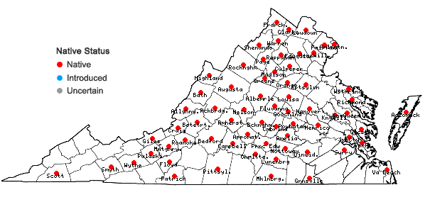 Locations ofSilphium asteriscus L. var. trifoliatum (L.) Clevinger in Virginia